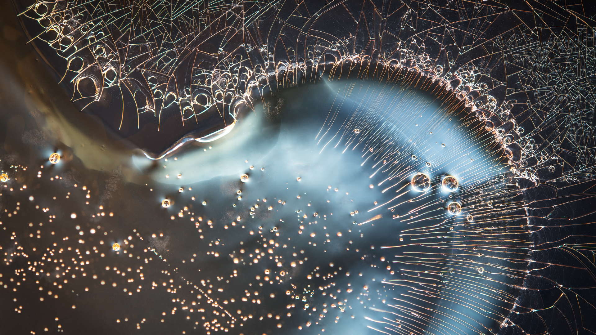 Omnirugio, Texturia Collection, Light Forms Art Photography