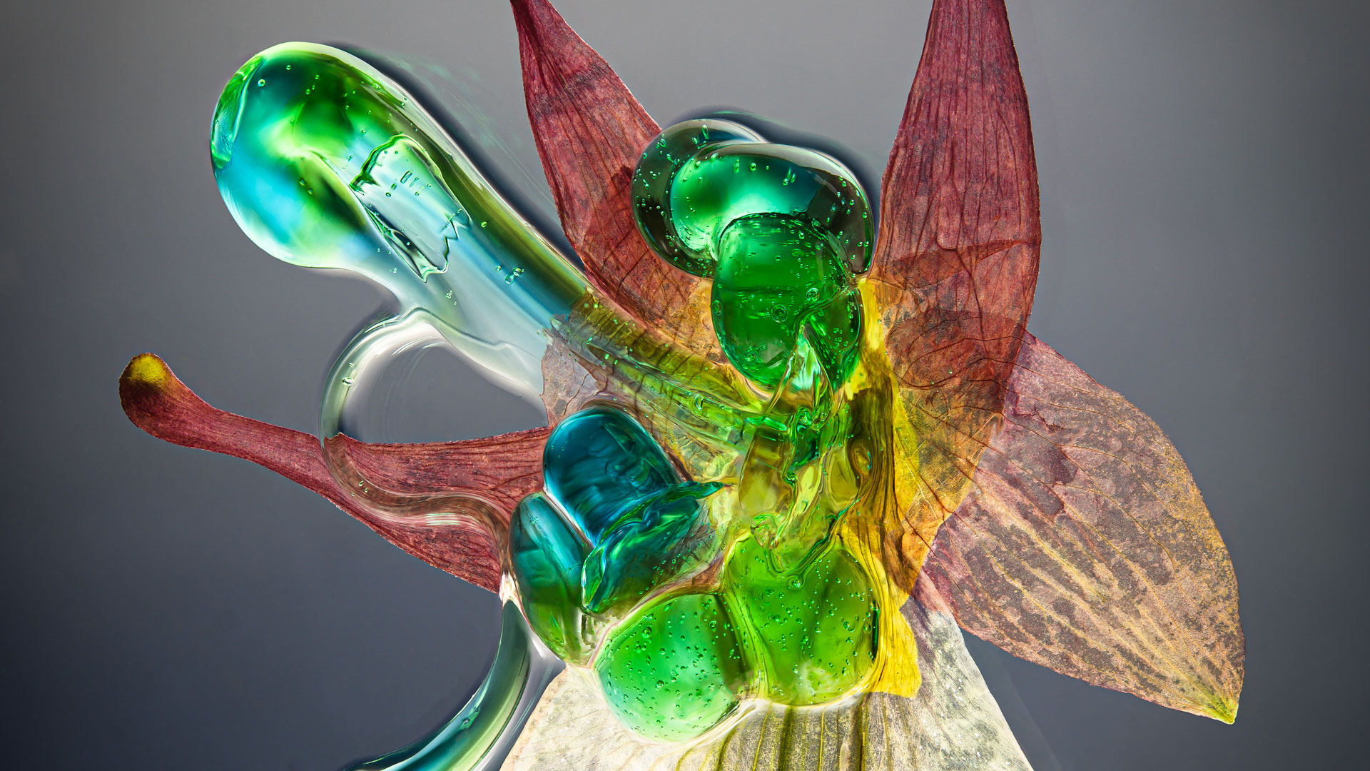 Tineasia 03 - Creatures Collection - Light Forms Art Photography