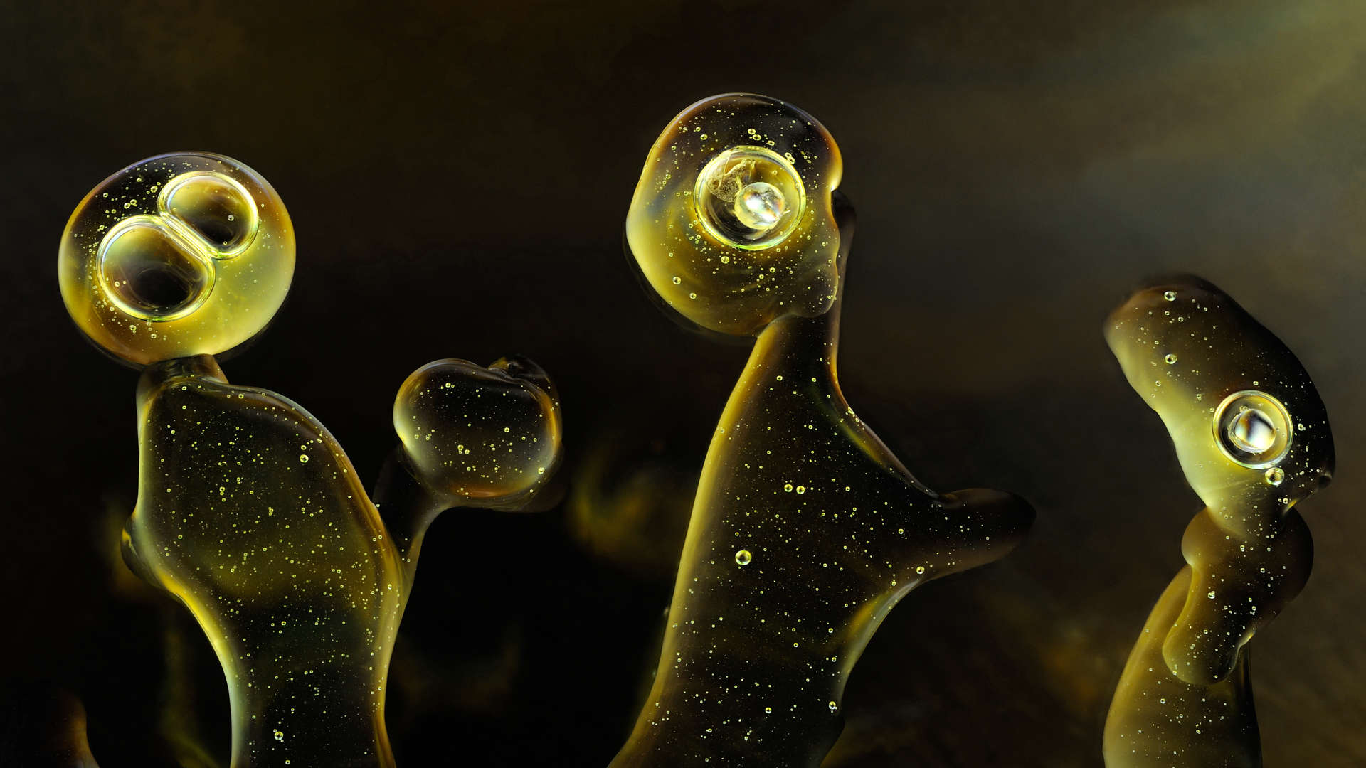 Life Tales - Creatures Collection - Light Forms Art Photography