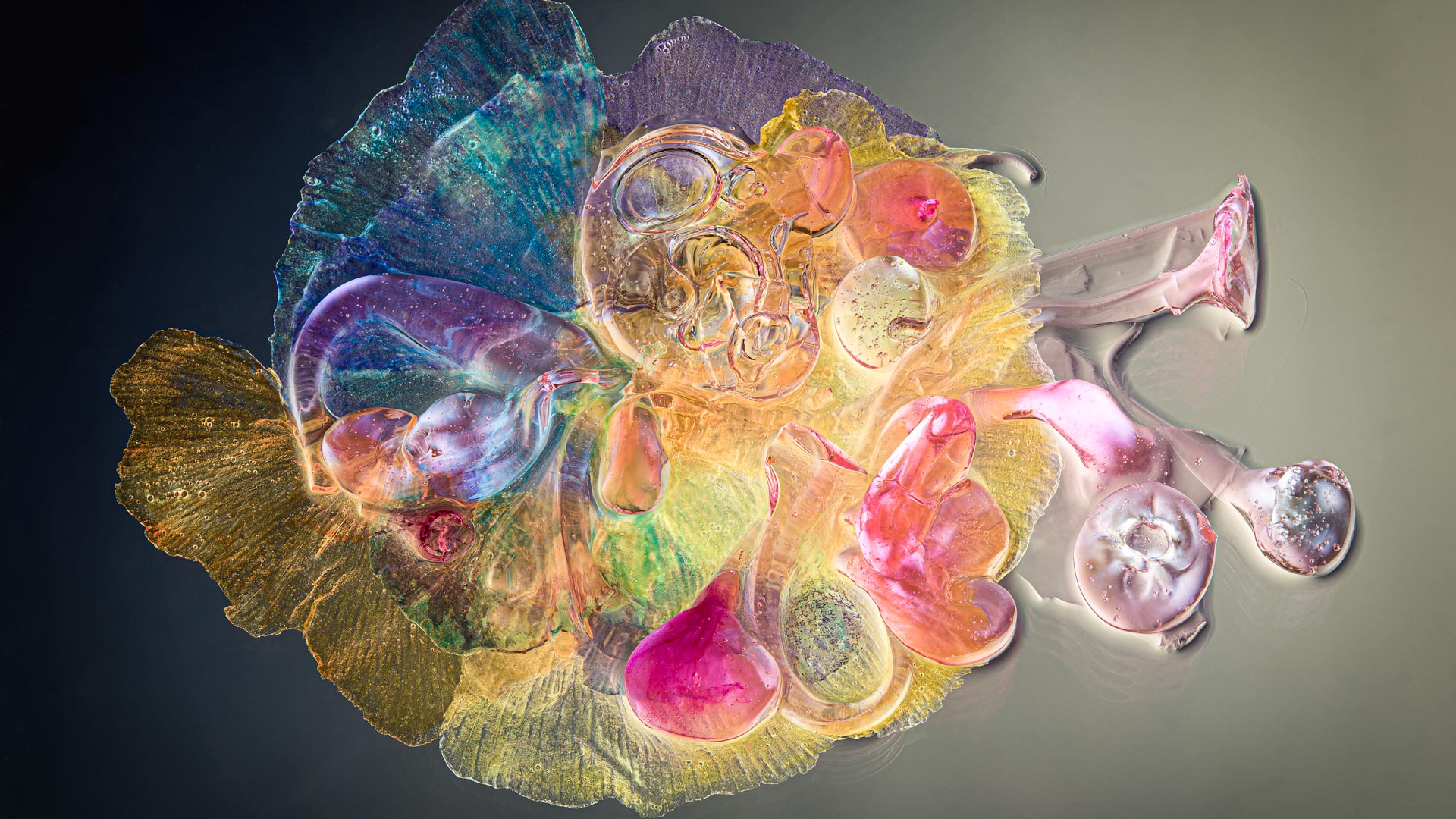 Opulio 03 - Flabellia Collection - Light Forms Art Photography