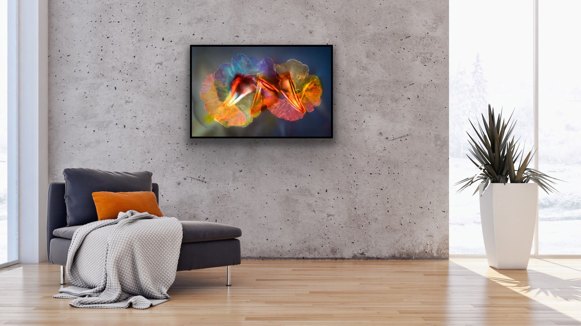 Biforia, In Context Collection, Light Forms Art Photography