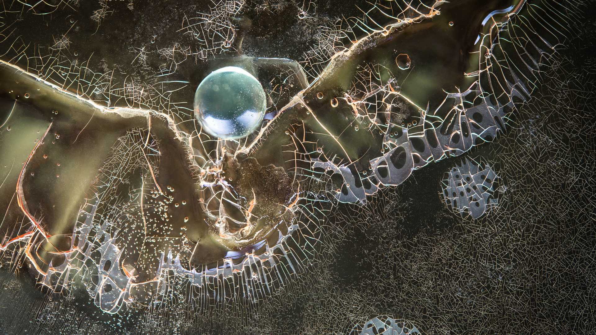 Omnifugi, Texturia Collection, Light Forms Art Photography