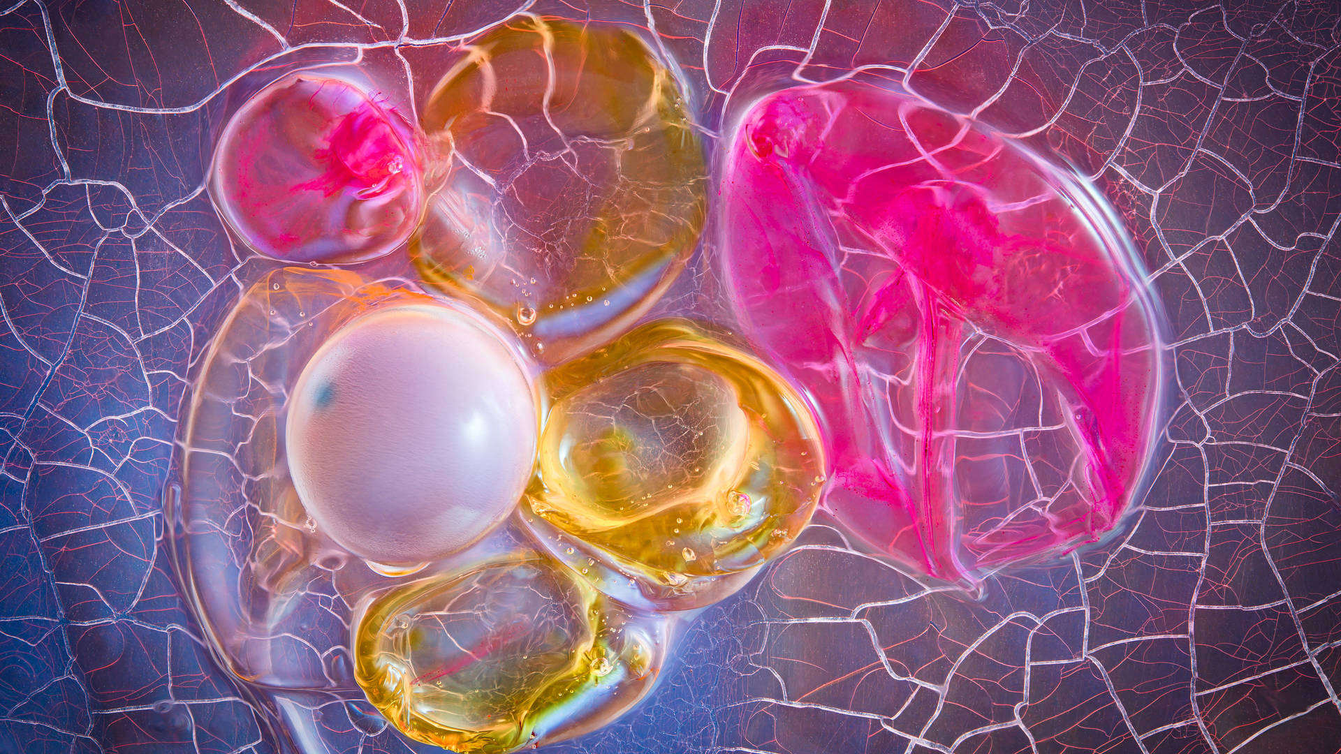 Ortum - Texturia Collection - Light Forms Art Photography